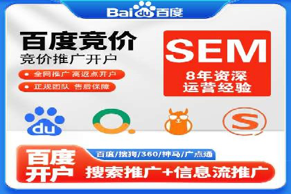 竞价推广策略：某电商平台的成功案例